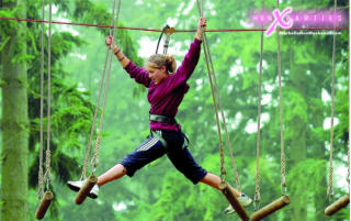 tree top games