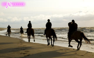 Horse riding at the beach